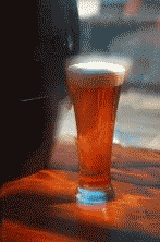 Getting Beer Opening.gif (96266 bytes)